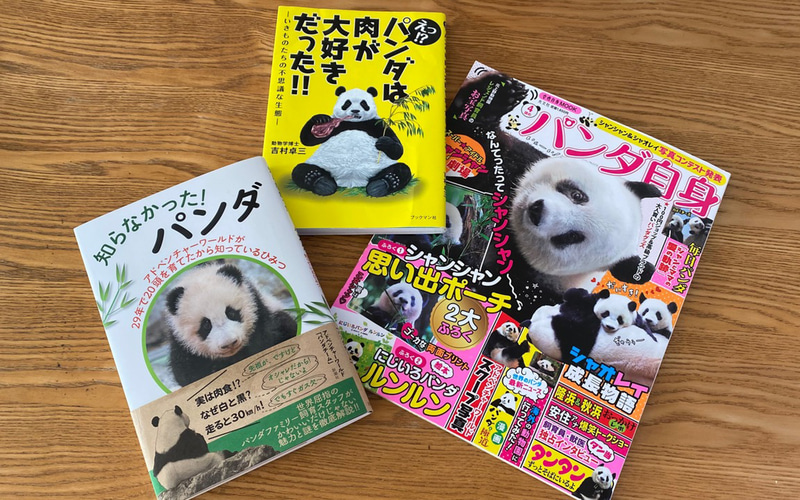 フィアット　「パンダの本」 初代フィアット・パンダ (エンスーCARガイド) | エンスーCAR本「STRUT