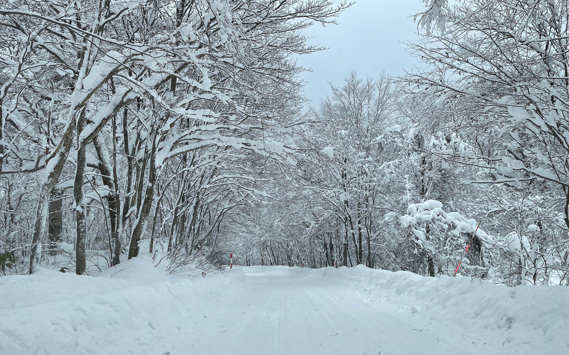 冬の山道は千変万化です