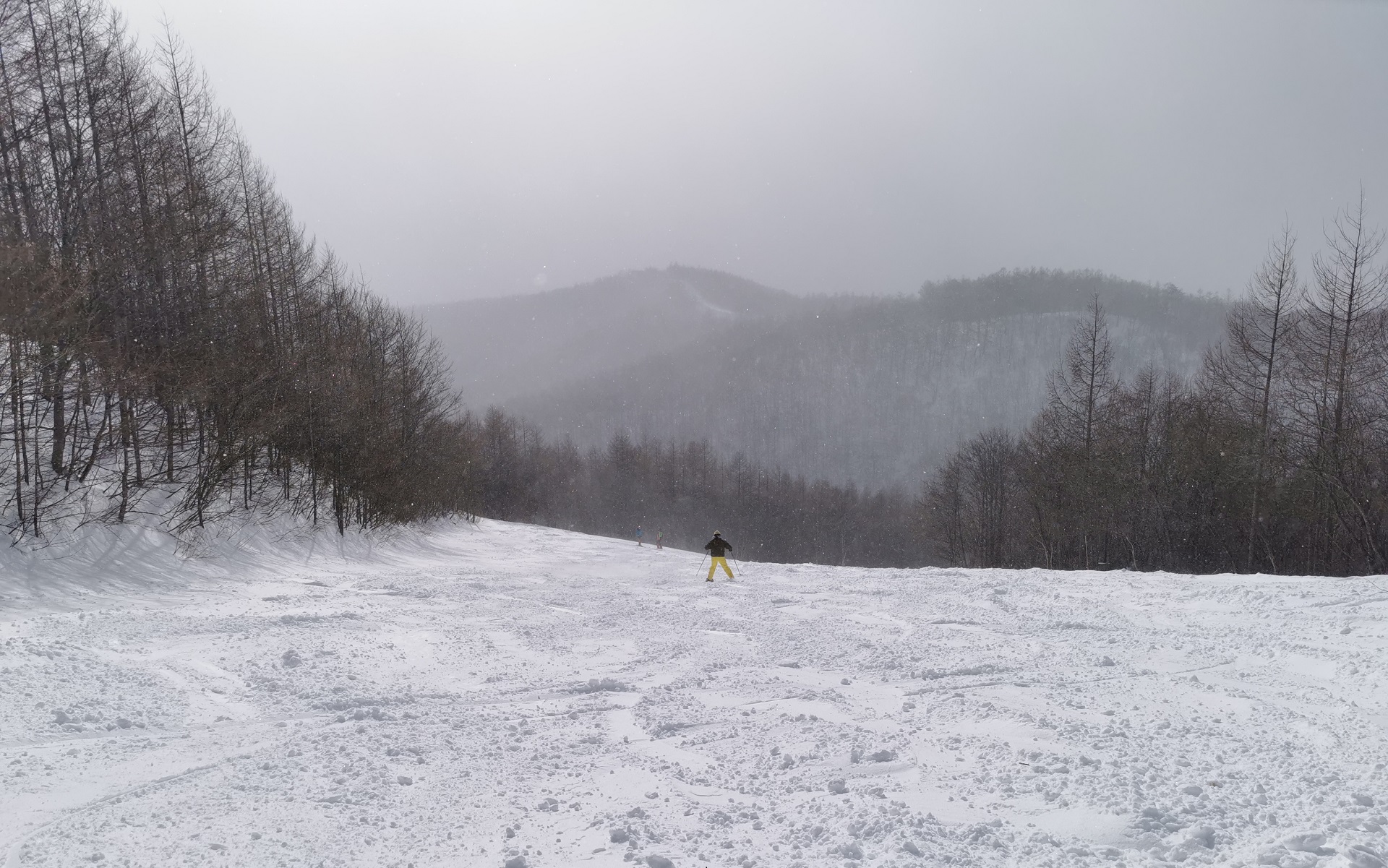 遠くのほうで練習している娘。まだボーゲンレベル