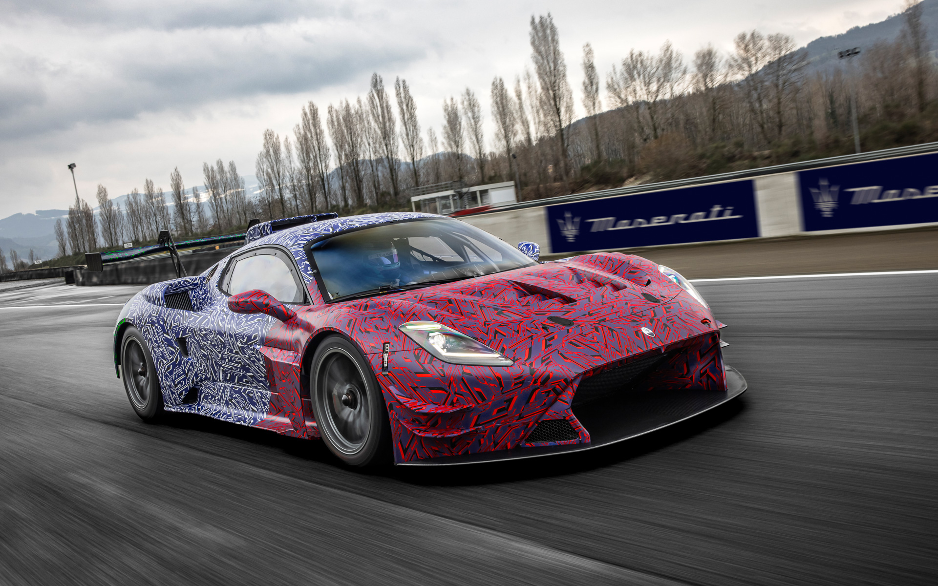 シェイクダウン時のカモフラージュカラー