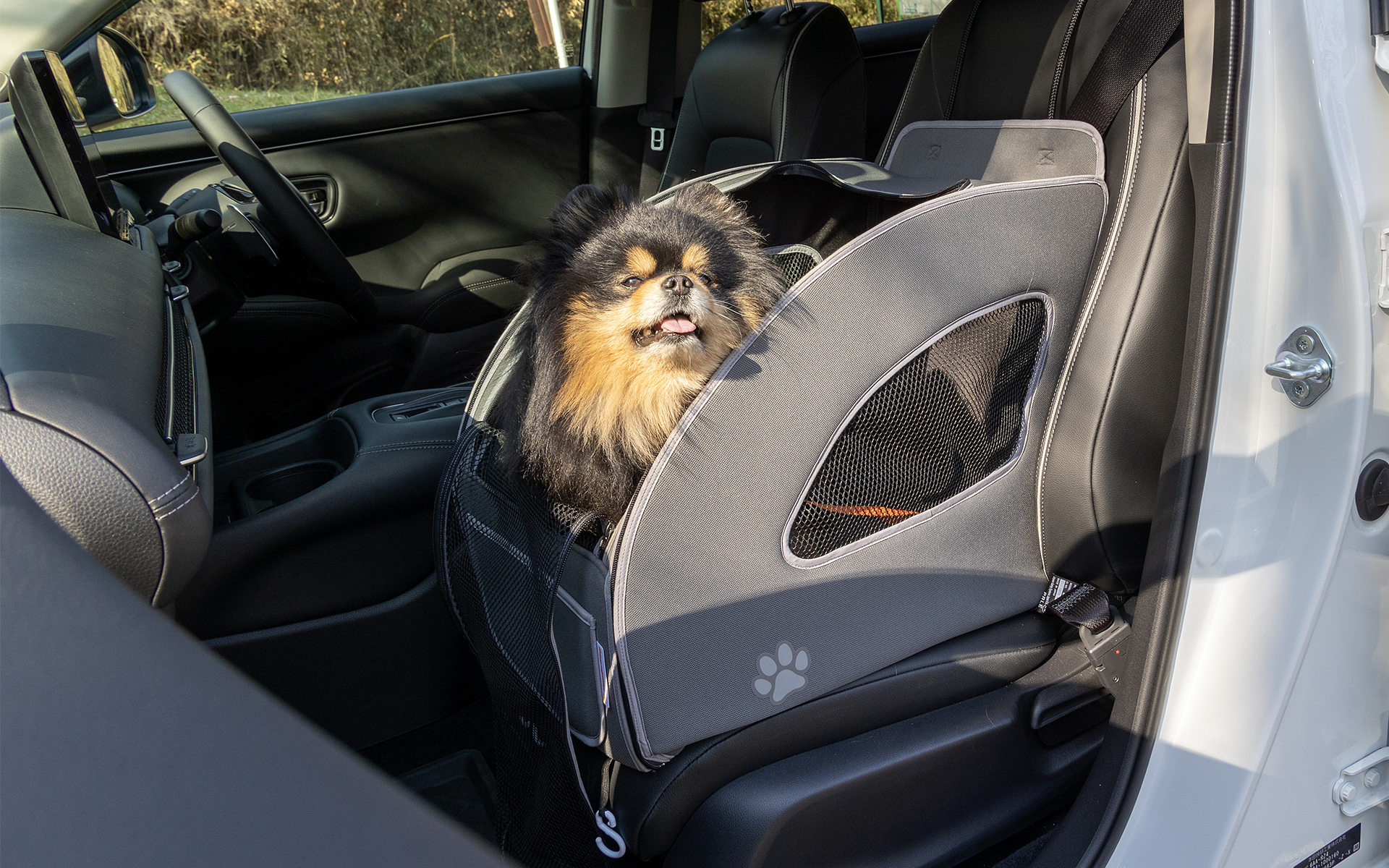 小型犬も乗せることができる。上部だけでなく側面からも出入りできる