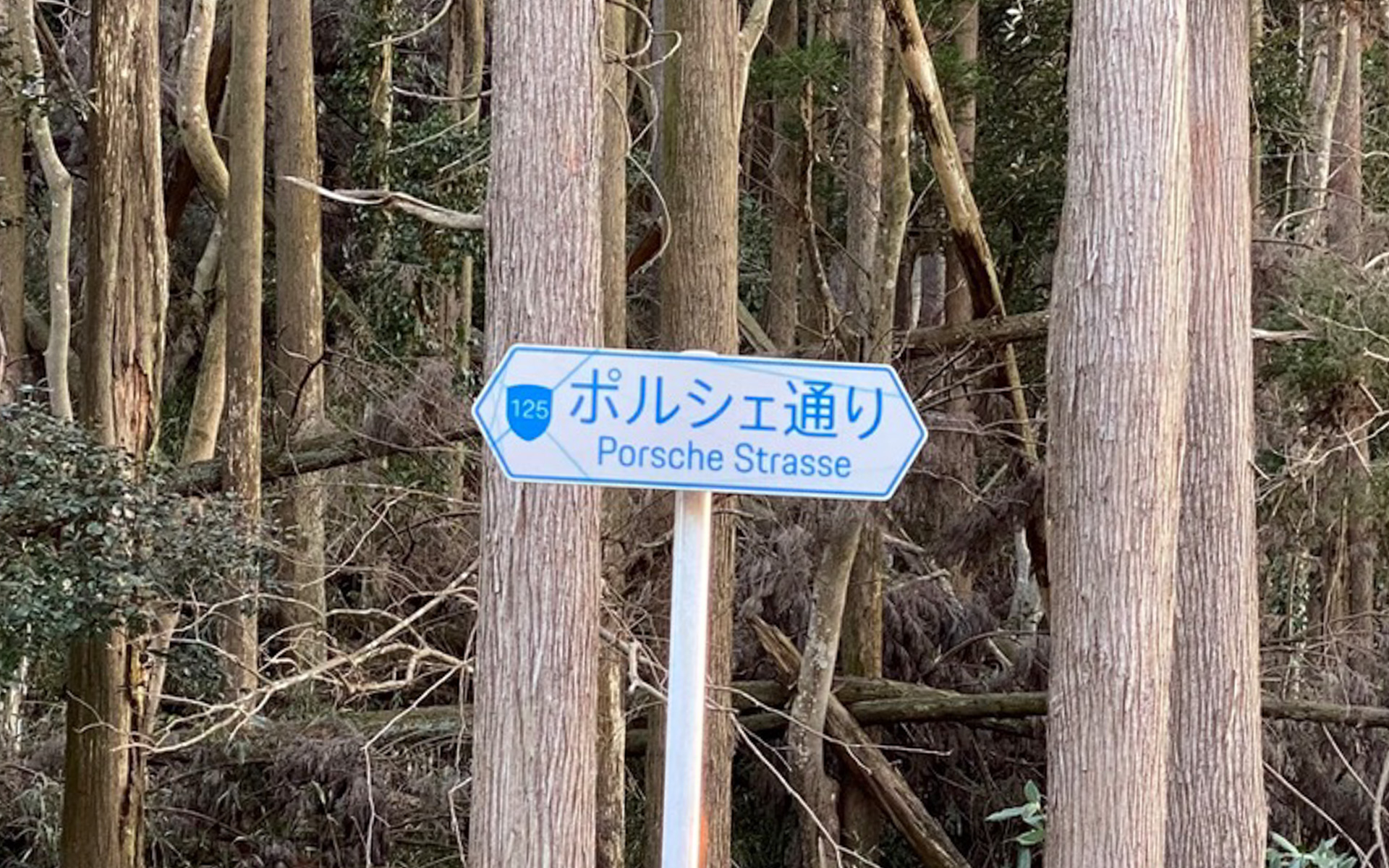 ポルシェ・エクスペリエンスセンター東京の前の市道125号は、なんと一部が1kmにわたって「ポルシェ通り」と名付けられていました！　これはもう、ポルシェ乗りの聖地確定ですね。現時点で、輸入車ブランドの名前がついている道は、日本で唯一だそうです