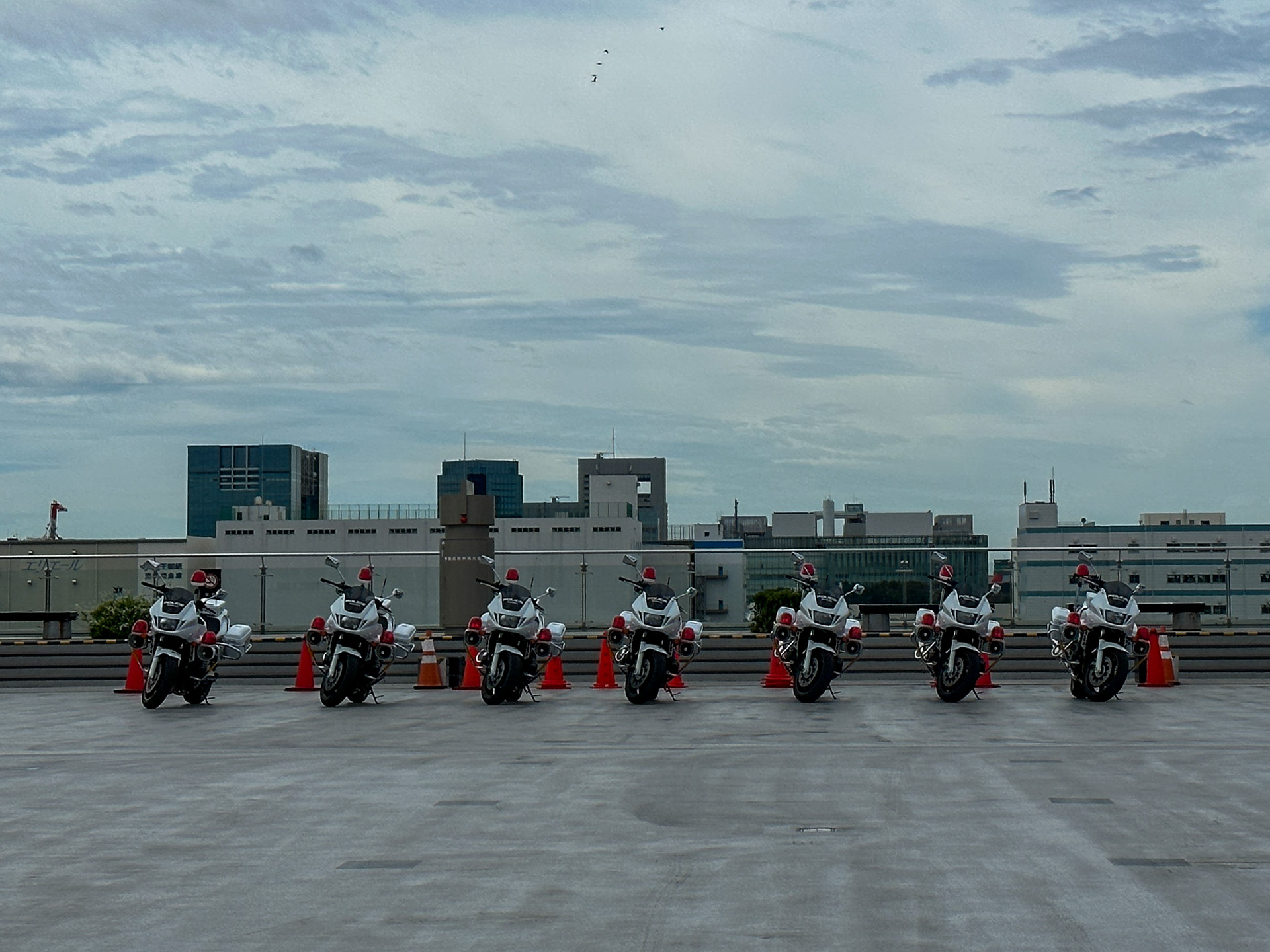 警視庁 クイーンスターズドリル走行は、3月24日14時〜14時30分、3月26日の12時30分〜13時に実施予定