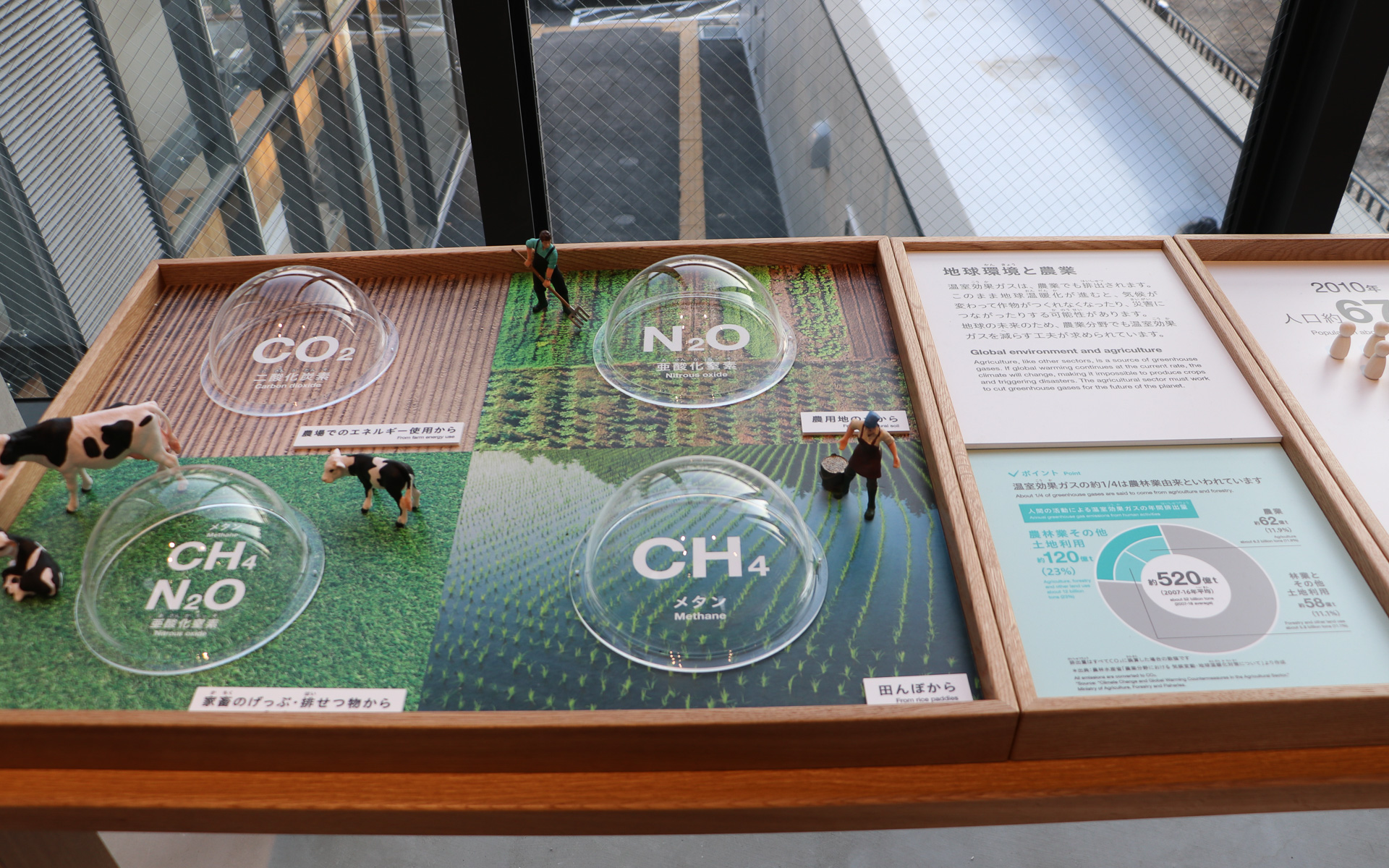 写真や人形、グラフを使った分かりやすいディスプレイになっている