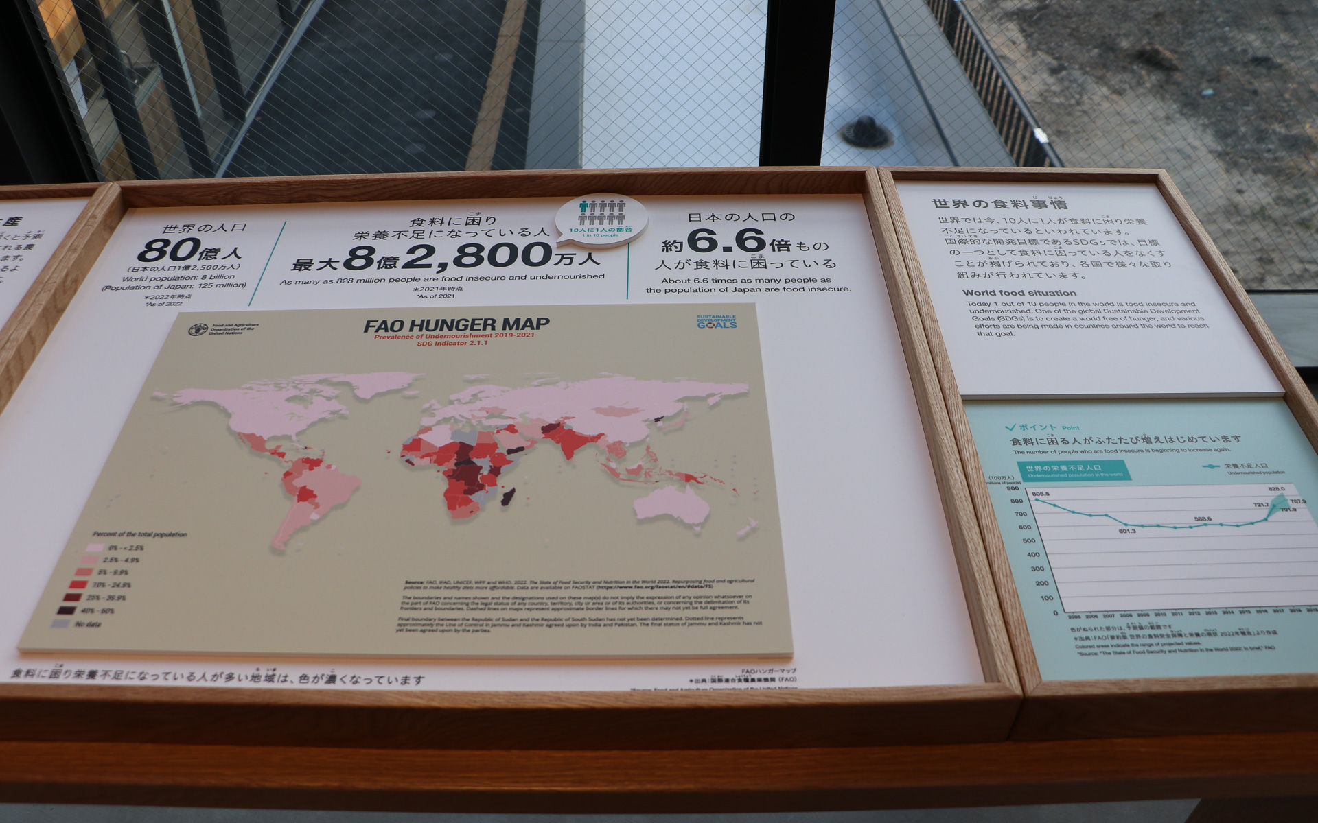 写真や人形、グラフを使った分かりやすいディスプレイになっている