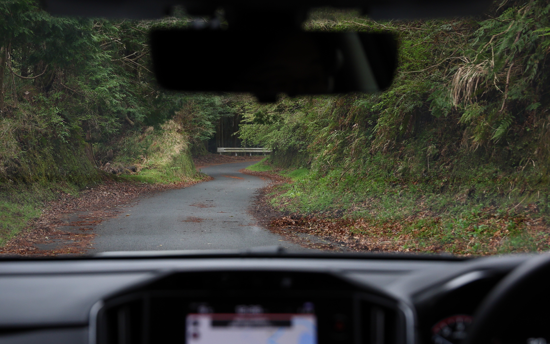 SUBAROADでは普段なかなか通らない細い林道も案内された