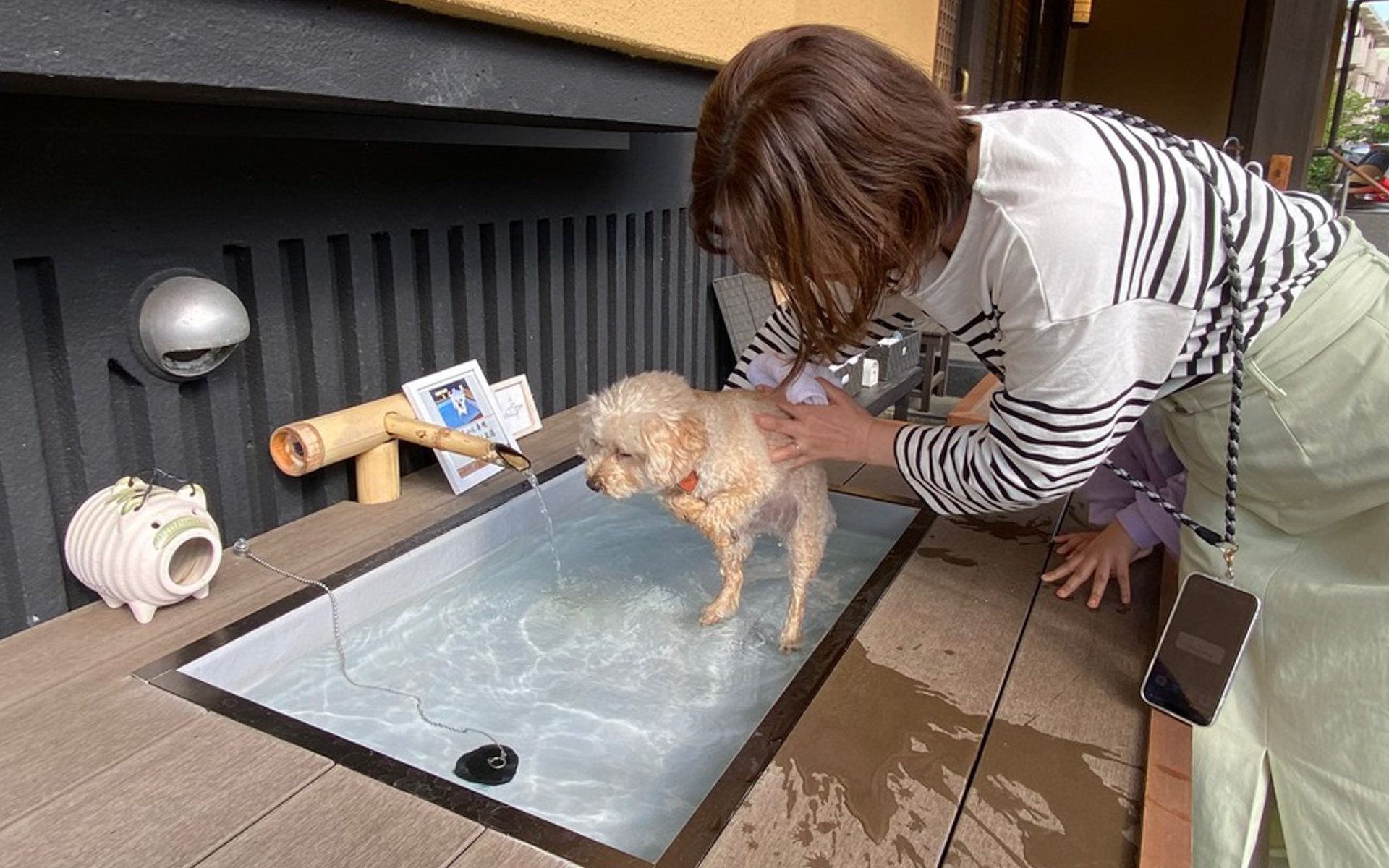 旅館のエントランス脇に、犬用の足湯がありました。源泉かけ流しとは贅沢！　抱っこで足をそっと入れてあげると、気持ちよさそうに目を細めたり、犬かきで泳ごうとしたレンでした（笑）。タオルも用意してあるので、手ぶらで利用できるのが嬉しいですね