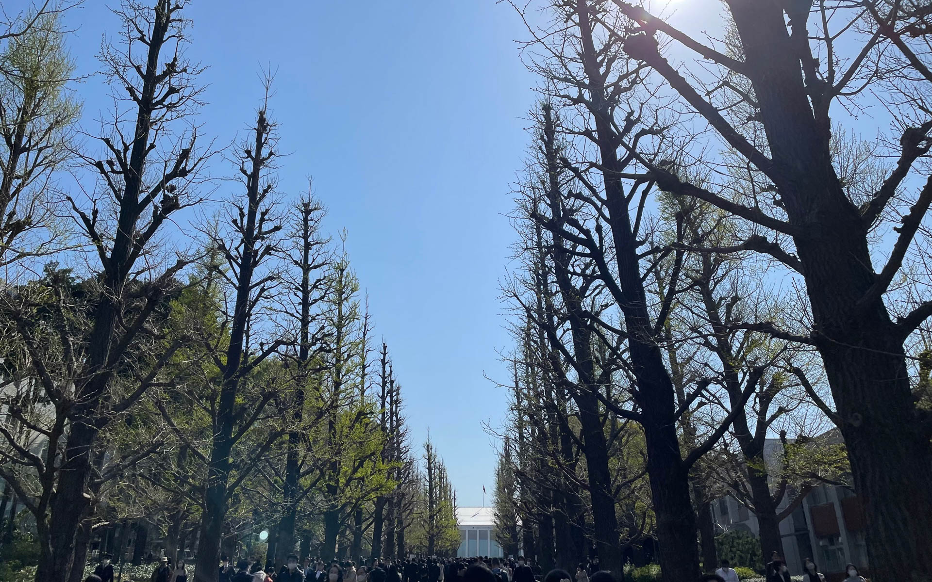 校舎まで歩くと5分ほどかかる並木道、遅刻しそうになると毎日がトレーニングです