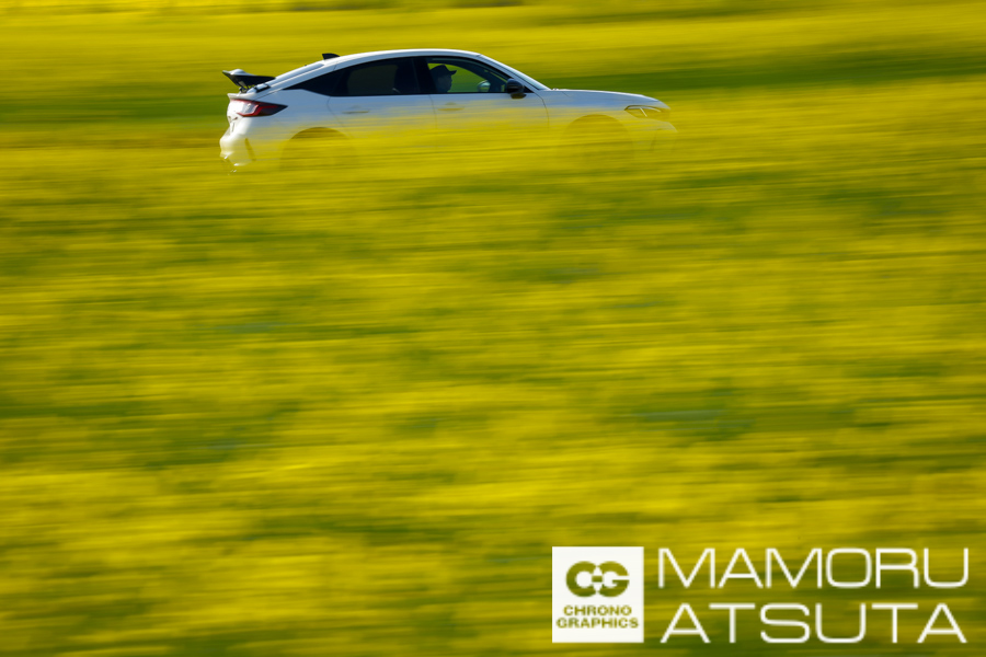 菜の花畑の中を行く