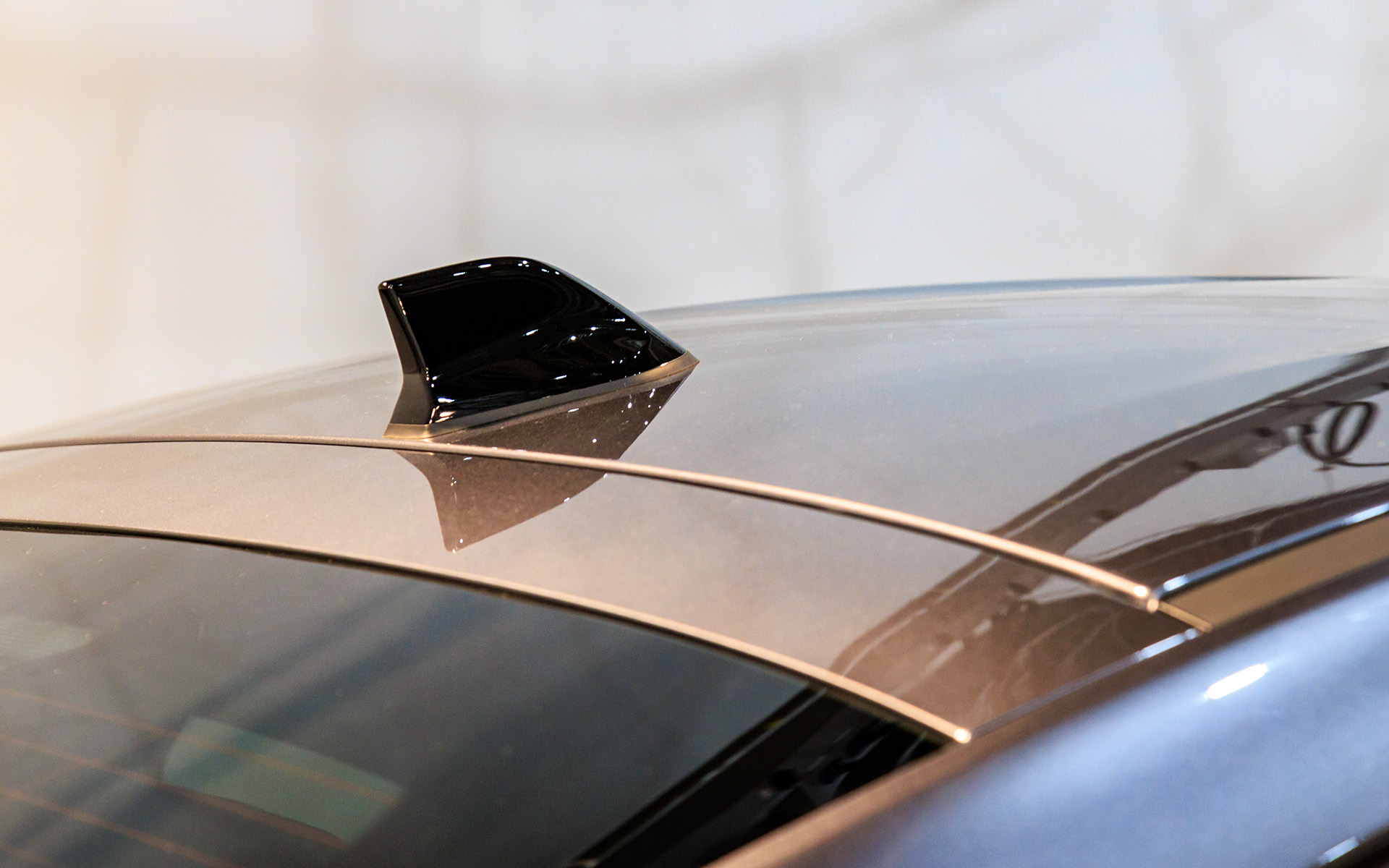 ルーフ上にもワンポイント