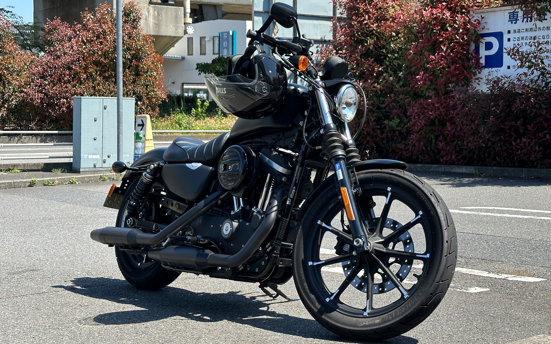 写真はレンタルバイクで借りてみたハーレーダビッドソン