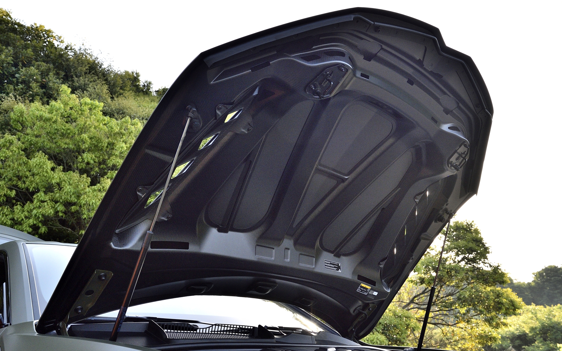 ボンネットは上位モデル「ペルフォルマンテ」と同じくカーボンファイバー製となった