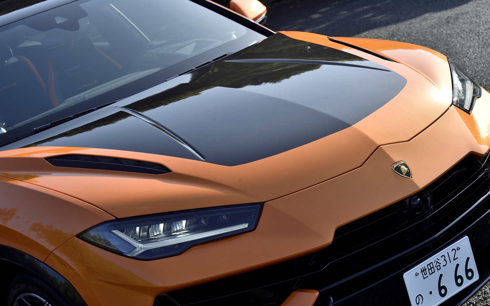 ドライカーボン製のボンネット