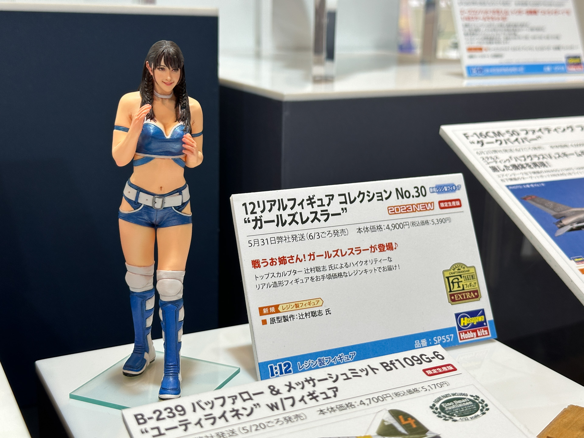 12リアルフィギュア コレクション No.30 “ガールズレスラー”