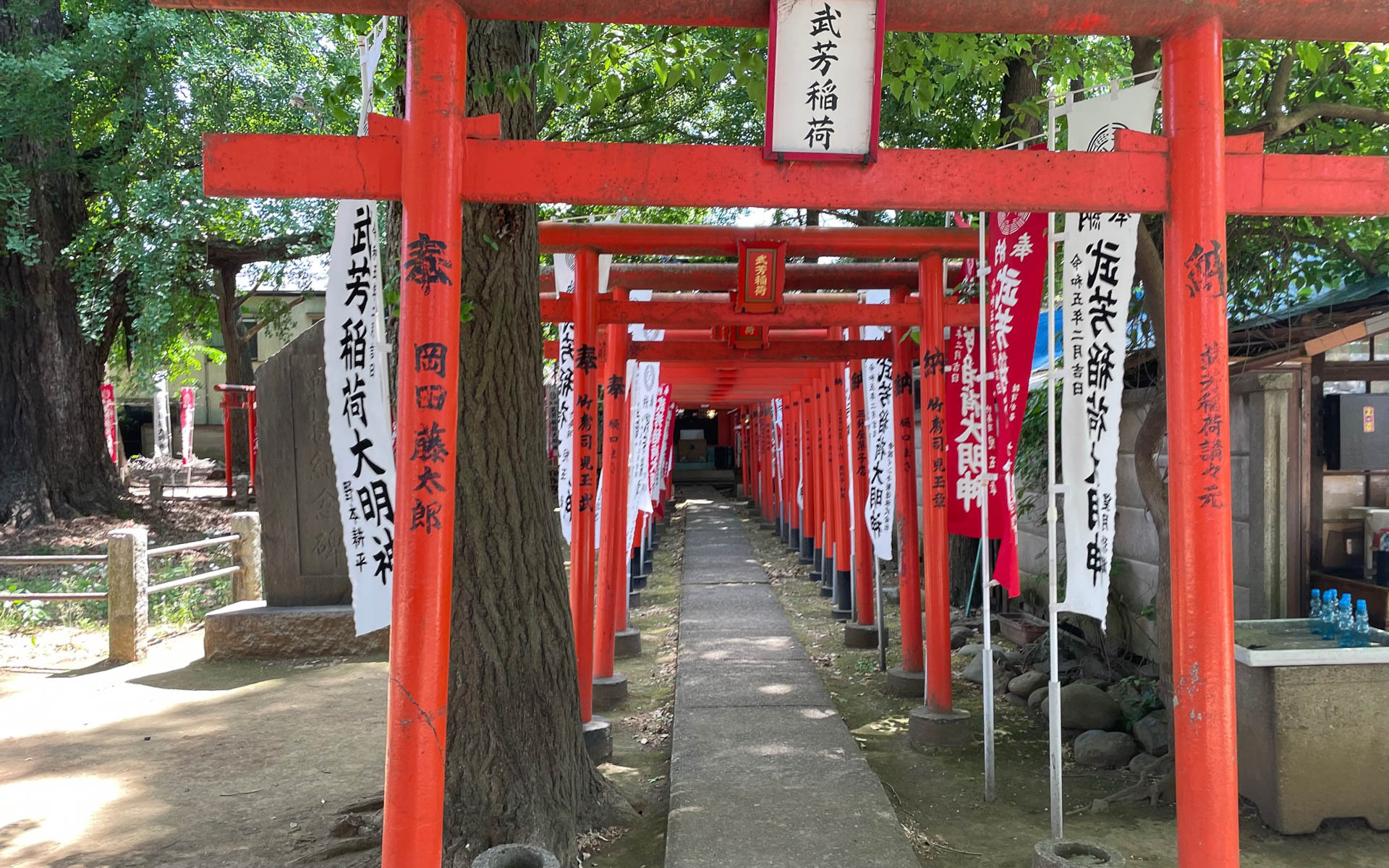 鬼子母神堂の境内にあるお稲荷様。お参りしたくなって鳥居の中に入ってみました。おろそかにしちゃいけない気がします