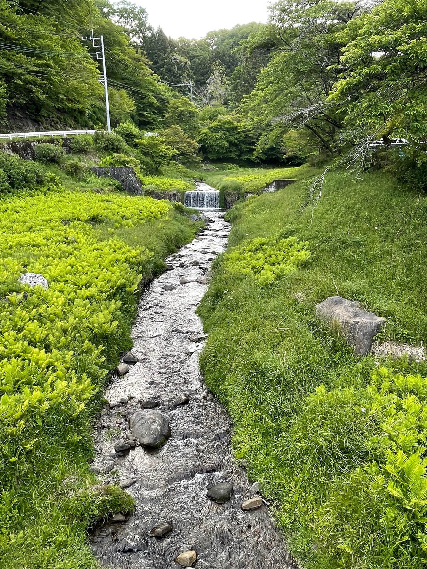温泉のそばを流れる小川。緑あふれる風情はなかなかです