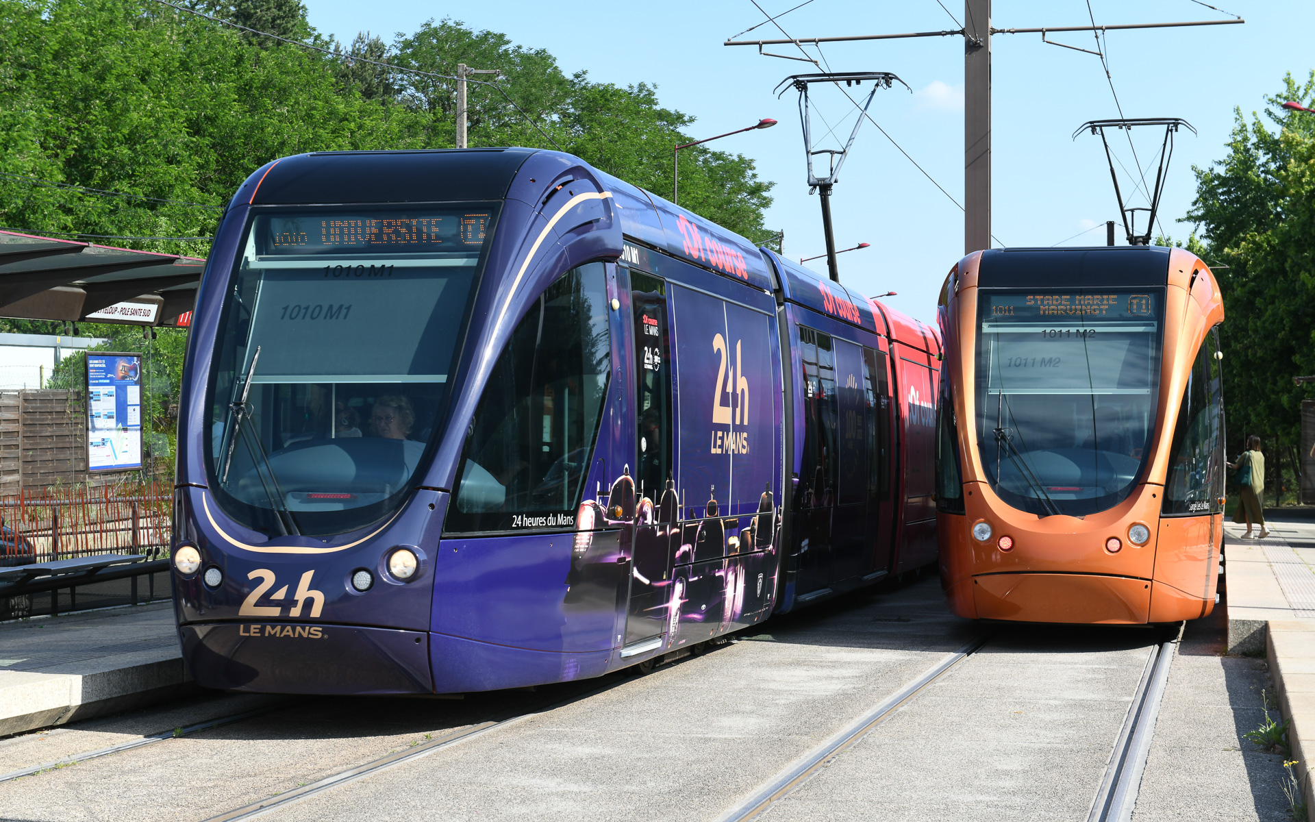 記念カラーのトラム（奥）と通常カラーのトラム（手前）