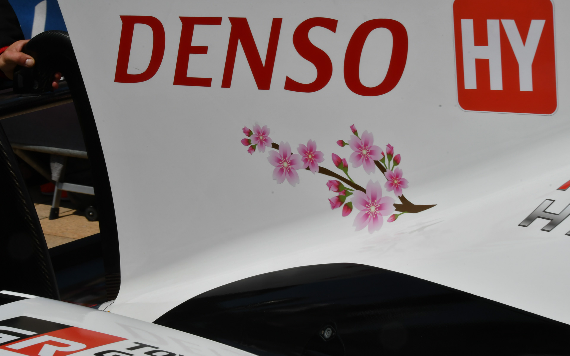 桜は車体各部に描かれる