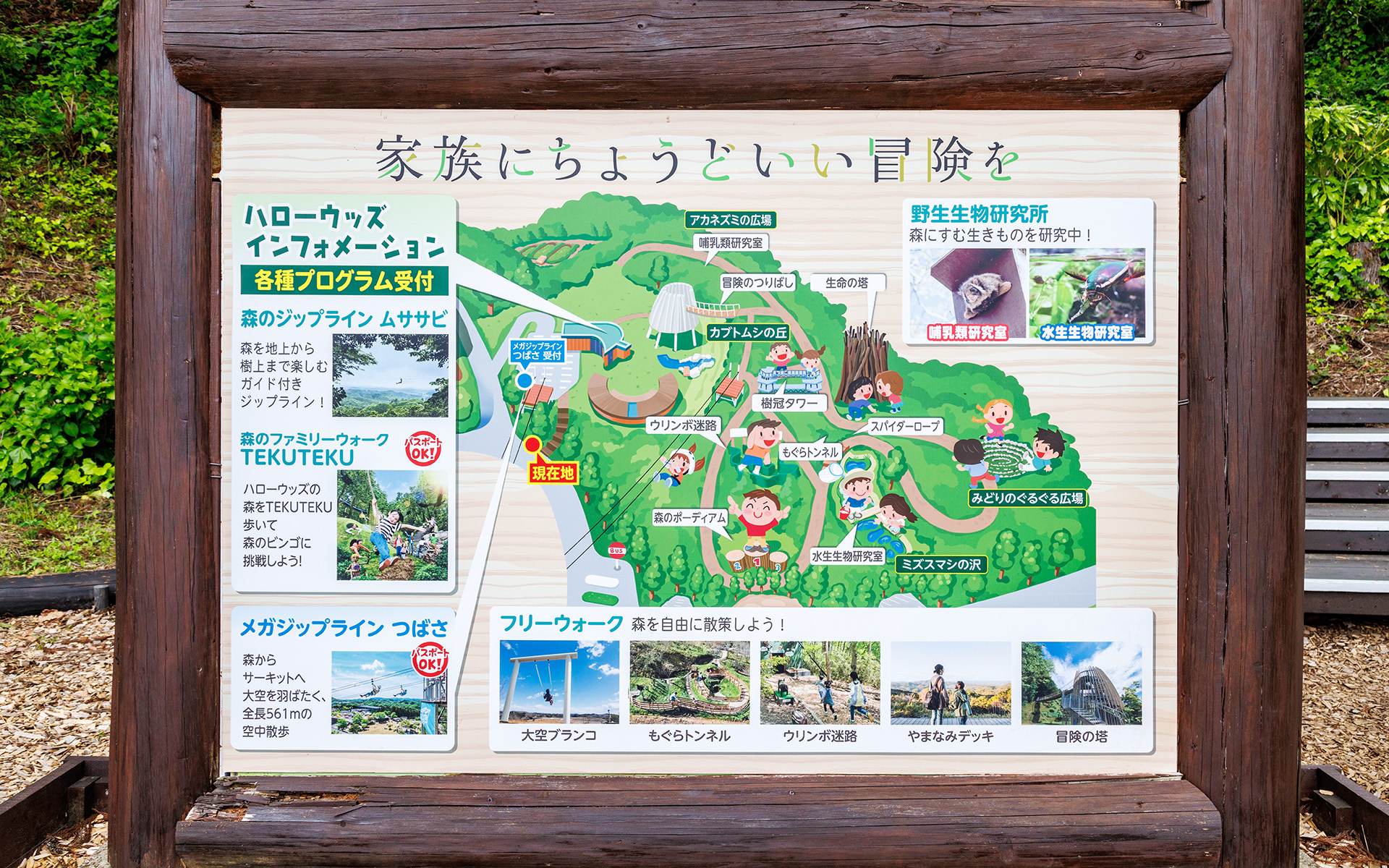 42ヘクタール（東京ドーム約9個分）もの広大な敷地の大型自然体験施設