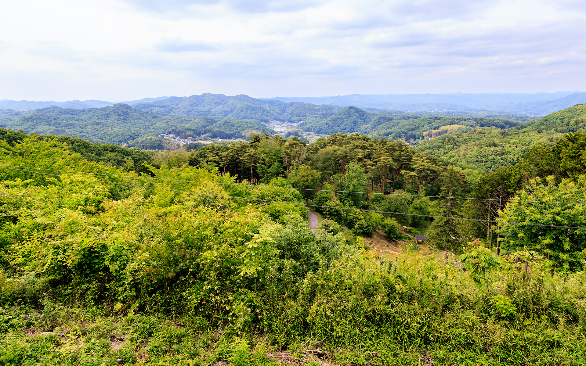 モビリティリゾートもてぎは、近隣の大自然を大切に育ててきたという