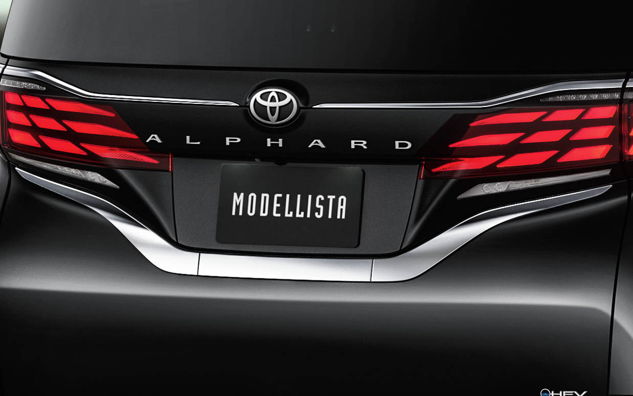 バックドアガーニッシュ（3万6300円）