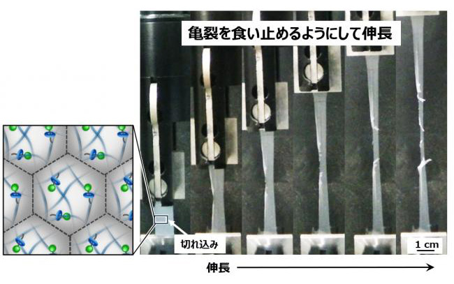 本研究で作製した微粒子フィルムの切れ目からの引裂試験の様子