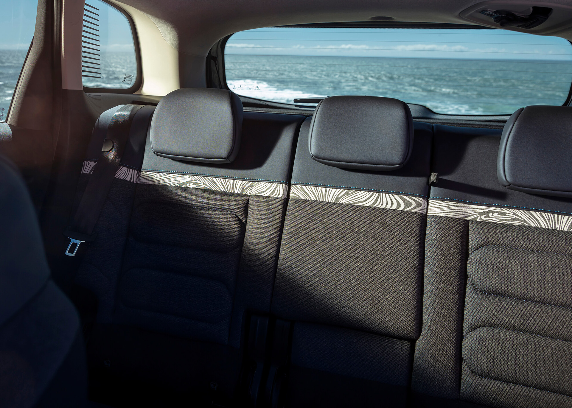 特別仕様車「C3 エアクロス SUV サーフエディション by リップカール」