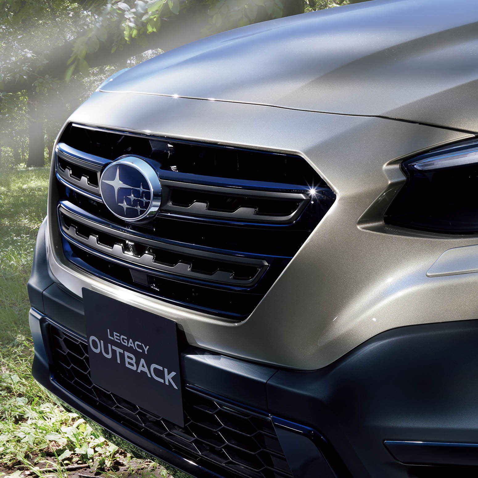 フロントグリル（ブラック塗装＋ラスターブラック塗装）