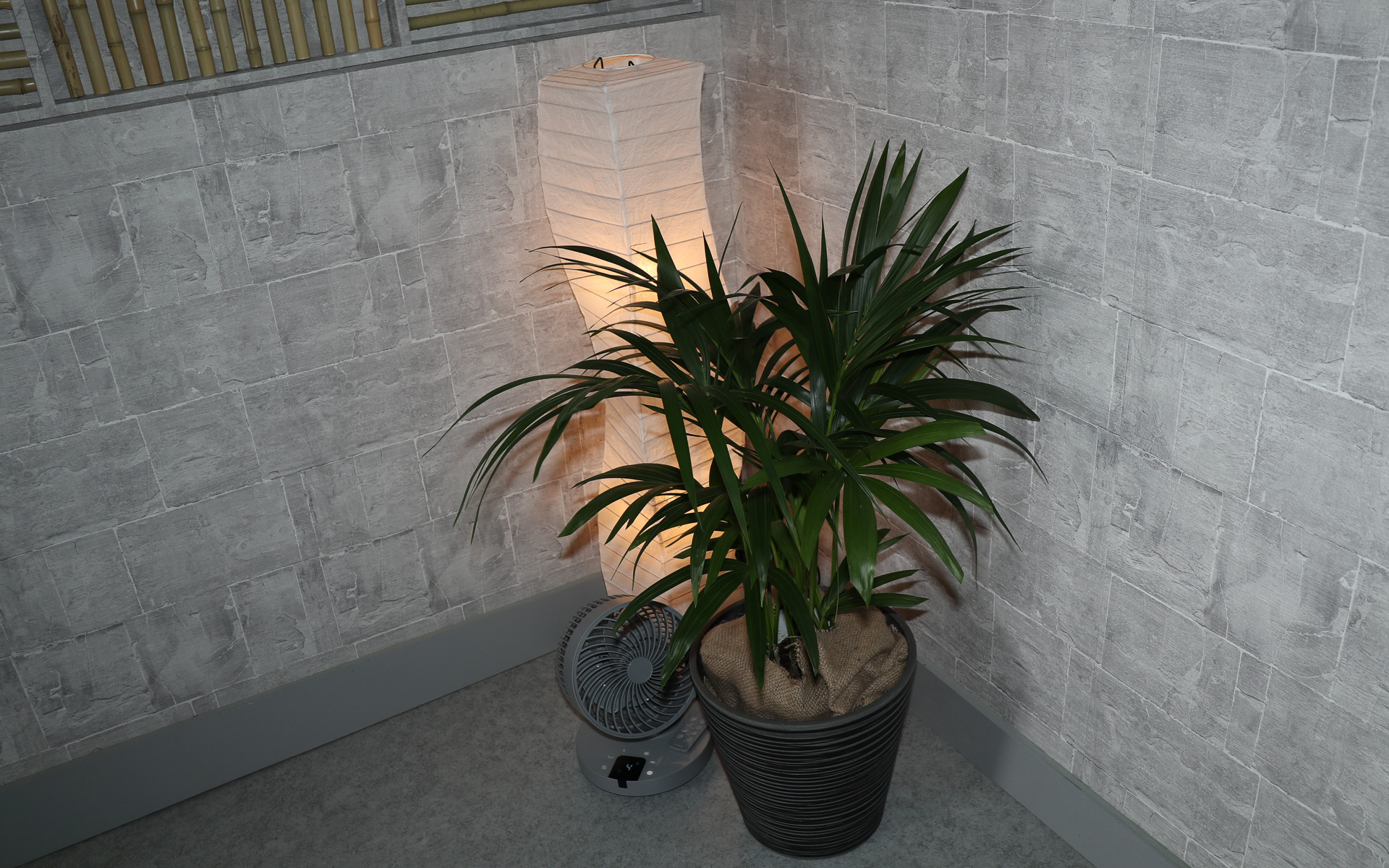 内部には観葉植物や間接照明が配置され、くつろぎの空間を演出する