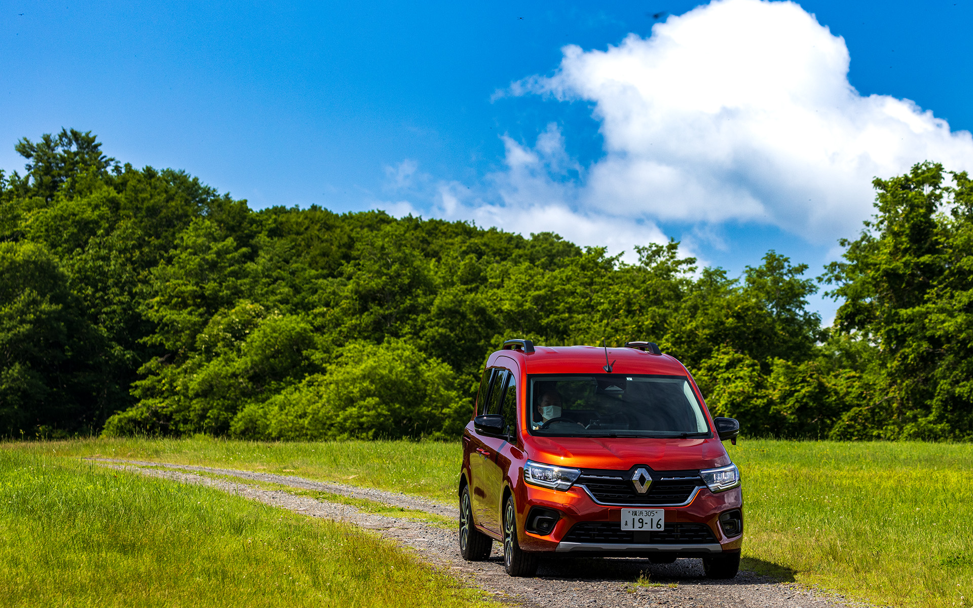 ブラウン テラコッタMのカラーは緑と青空とのコントラストも美しい