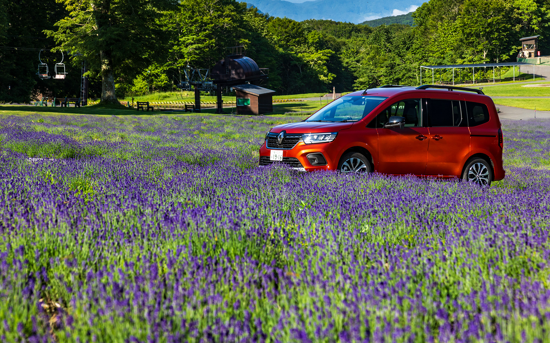 今回は、カングーのボディカラーとラベンダーのコントラストを楽しみたく、開園前に特別に撮影させていただいた
