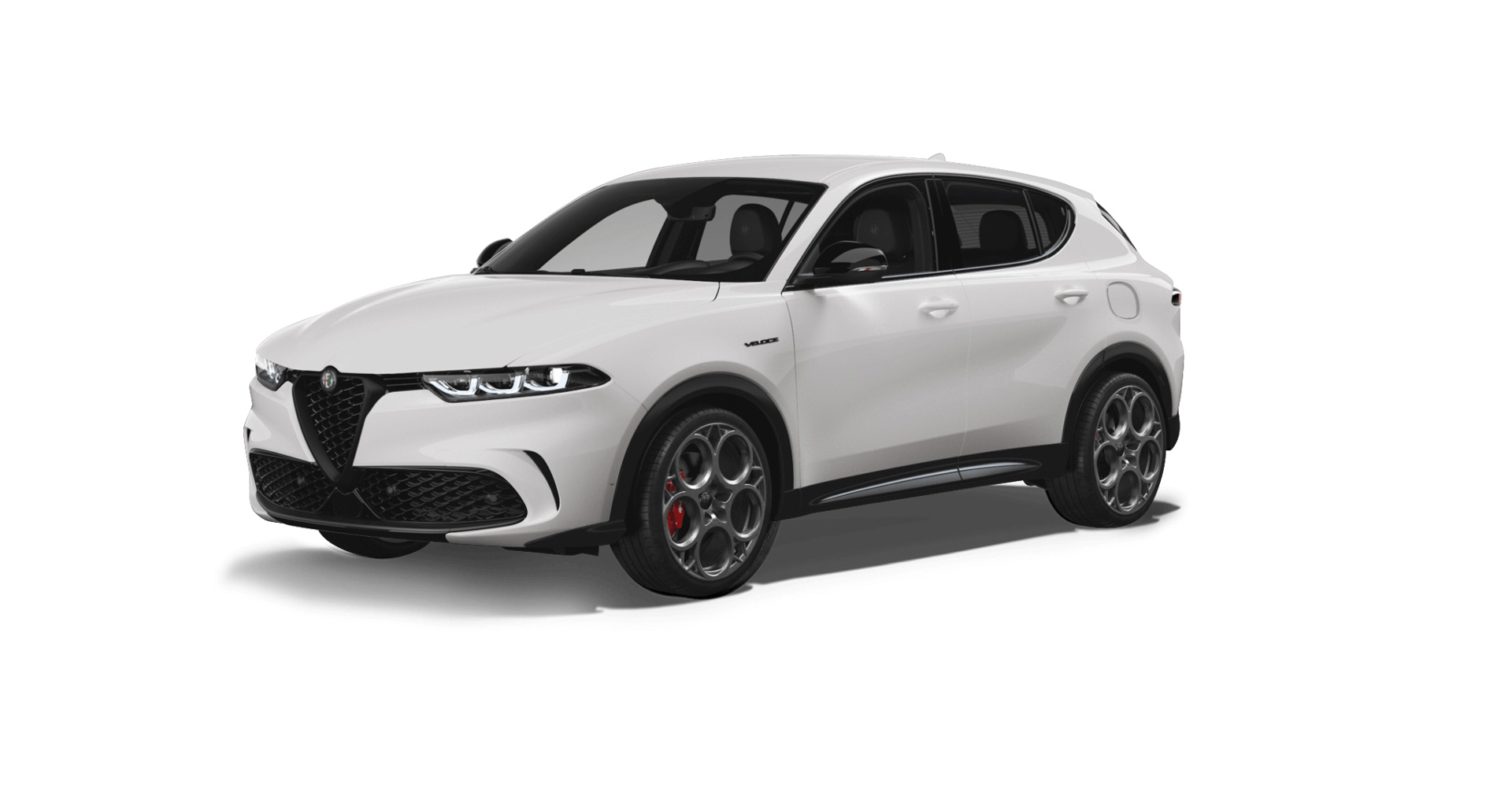 アルファ ホワイト