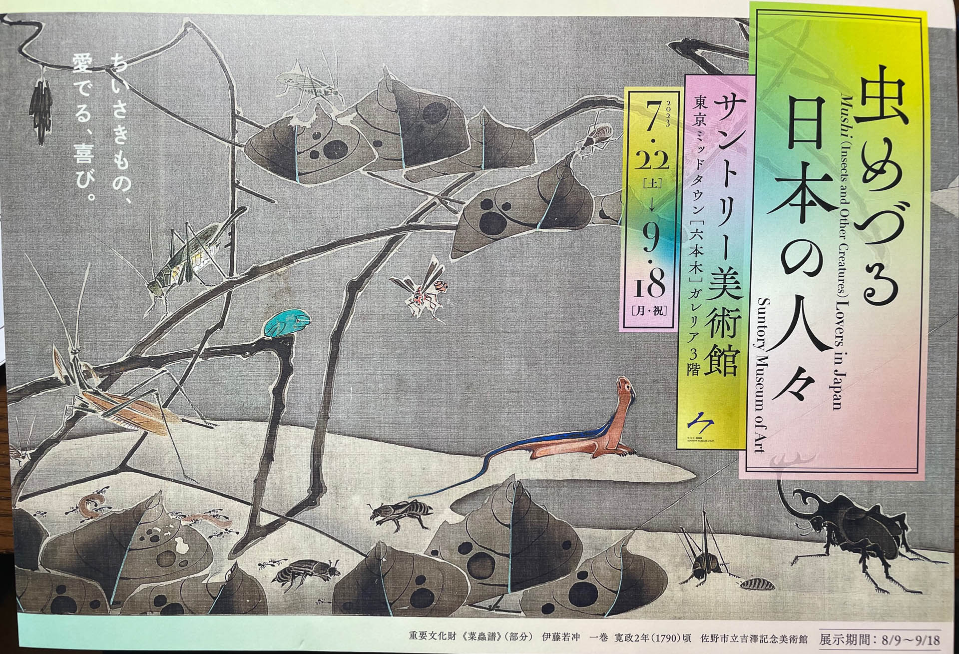 美術館で写真は撮れなかったので、パンフレットを。六本木のサントリー美術館で開催されている「虫めづる日本の人々」展に行ってきた