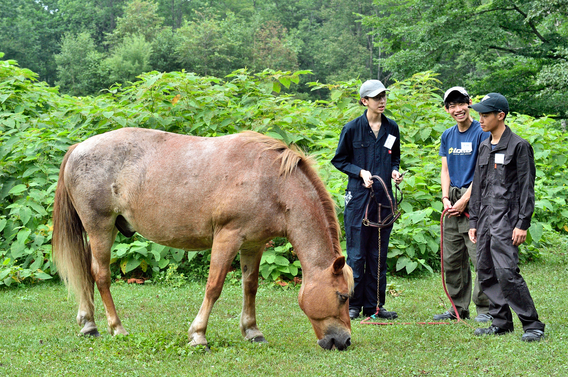苦労しつつ無事に無口をつけ、「森の馬小屋」まで手綱を引いて戻る。参加者はお互いをよくしらない状態なので、「無口をつける」という同じ目標が設定されることでうまくコミュニケーションが図れたようだ