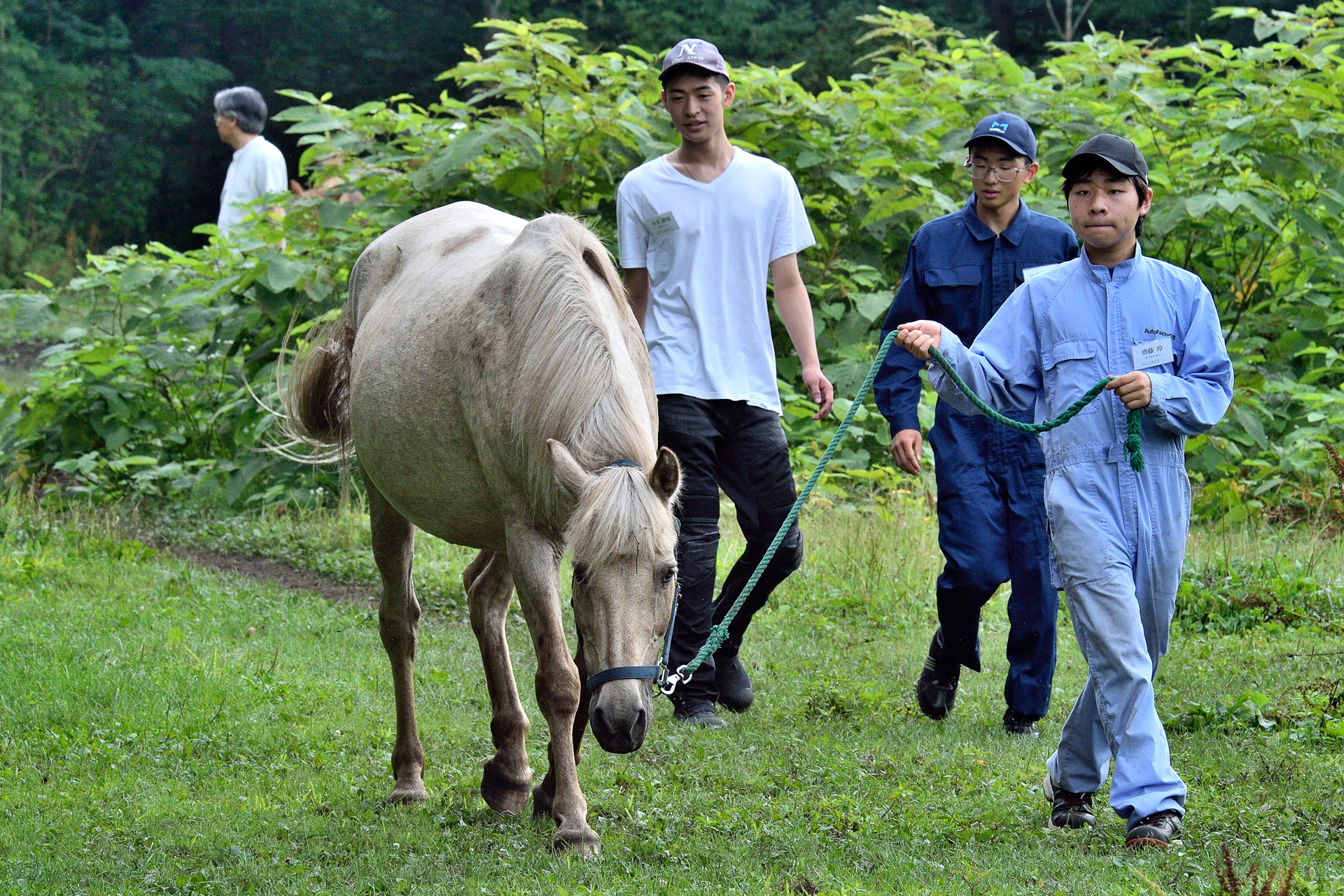 苦労しつつ無事に無口をつけ、「森の馬小屋」まで手綱を引いて戻る。参加者はお互いをよくしらない状態なので、「無口をつける」という同じ目標が設定されることでうまくコミュニケーションが図れたようだ