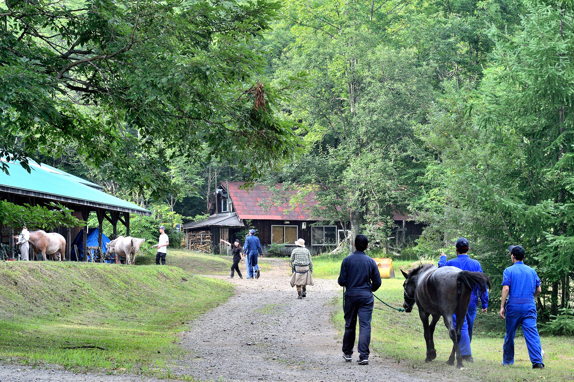 苦労しつつ無事に無口をつけ、「森の馬小屋」まで手綱を引いて戻る。参加者はお互いをよくしらない状態なので、「無口をつける」という同じ目標が設定されることでうまくコミュニケーションが図れたようだ