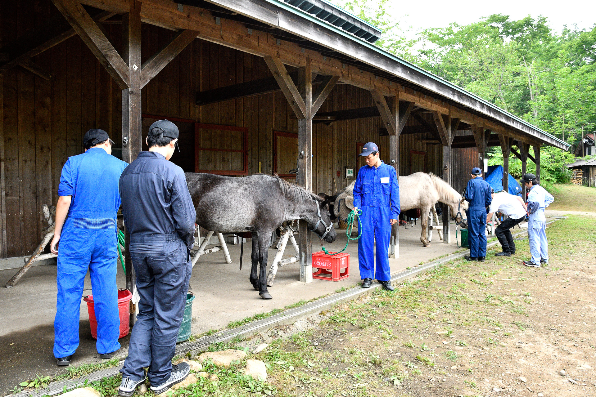 苦労しつつ無事に無口をつけ、「森の馬小屋」まで手綱を引いて戻る。参加者はお互いをよくしらない状態なので、「無口をつける」という同じ目標が設定されることでうまくコミュニケーションが図れたようだ