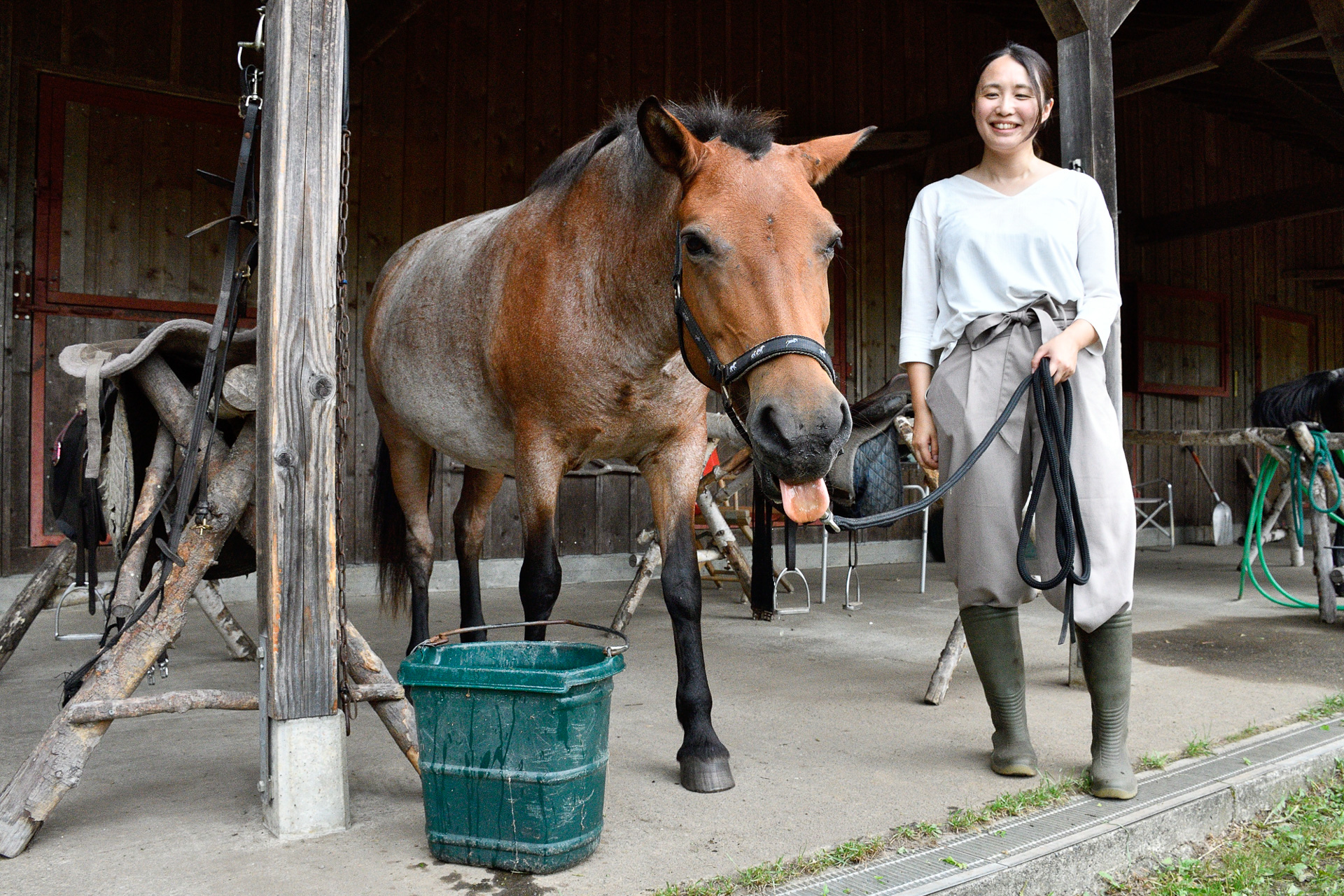 筆者も馬を捕まえ、頭絡と鞍の装着とともに乗馬も体験
