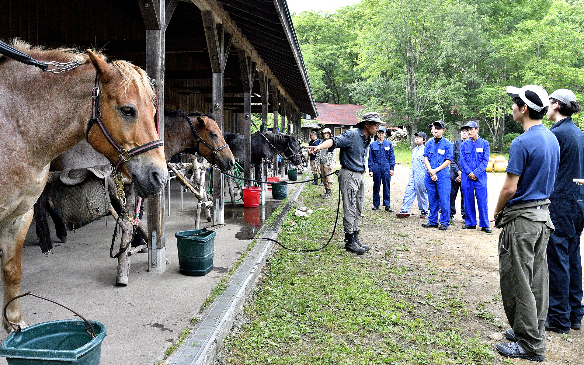 田中次郎さんから馬の扱い方を聞く。次郎さんは厳しくも優しさに満ちた人格者で、プロジェクトのキーパーソンの1人