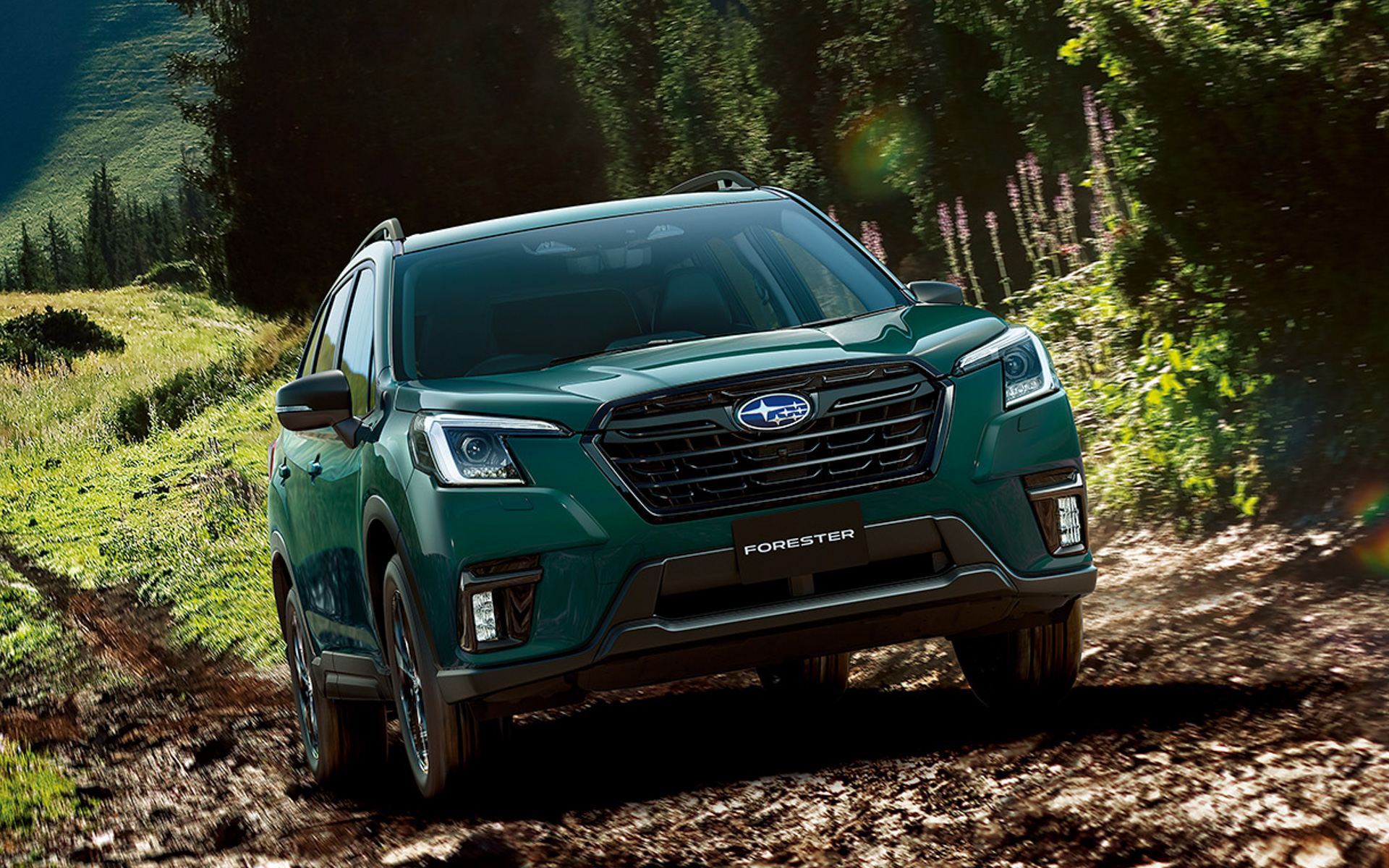 特別仕様車「XT-EDITION」