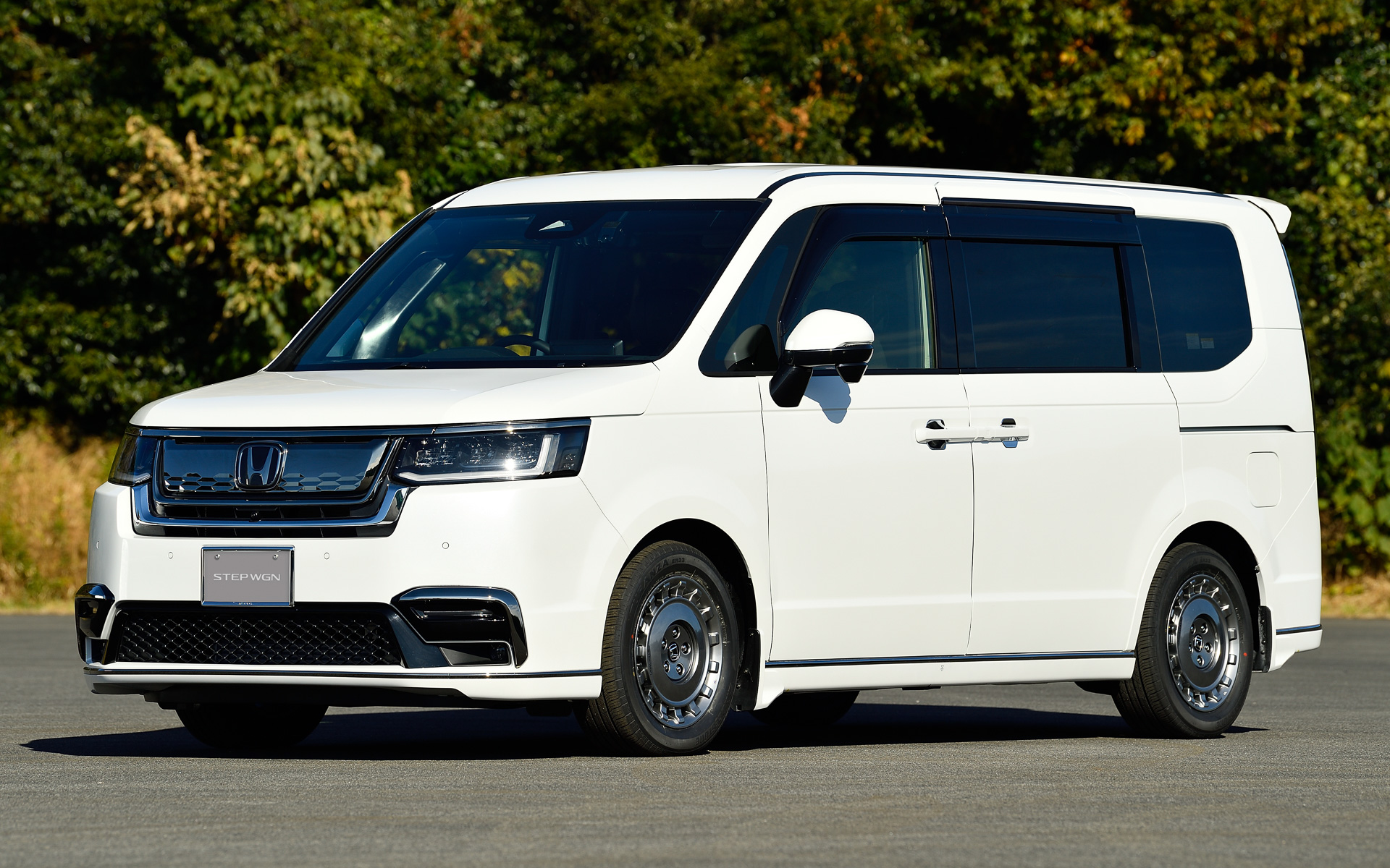 大型のケージも載せられる広い荷室のステップワゴン