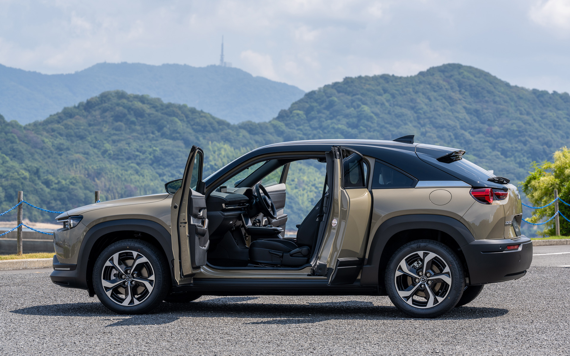 観音開きタイプのドア