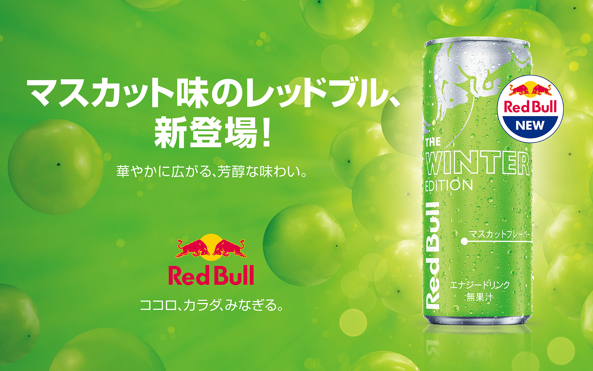 日本限定のマスカット味のレッドブル「レッドブル・エナジードリンク ウィンターエディション」