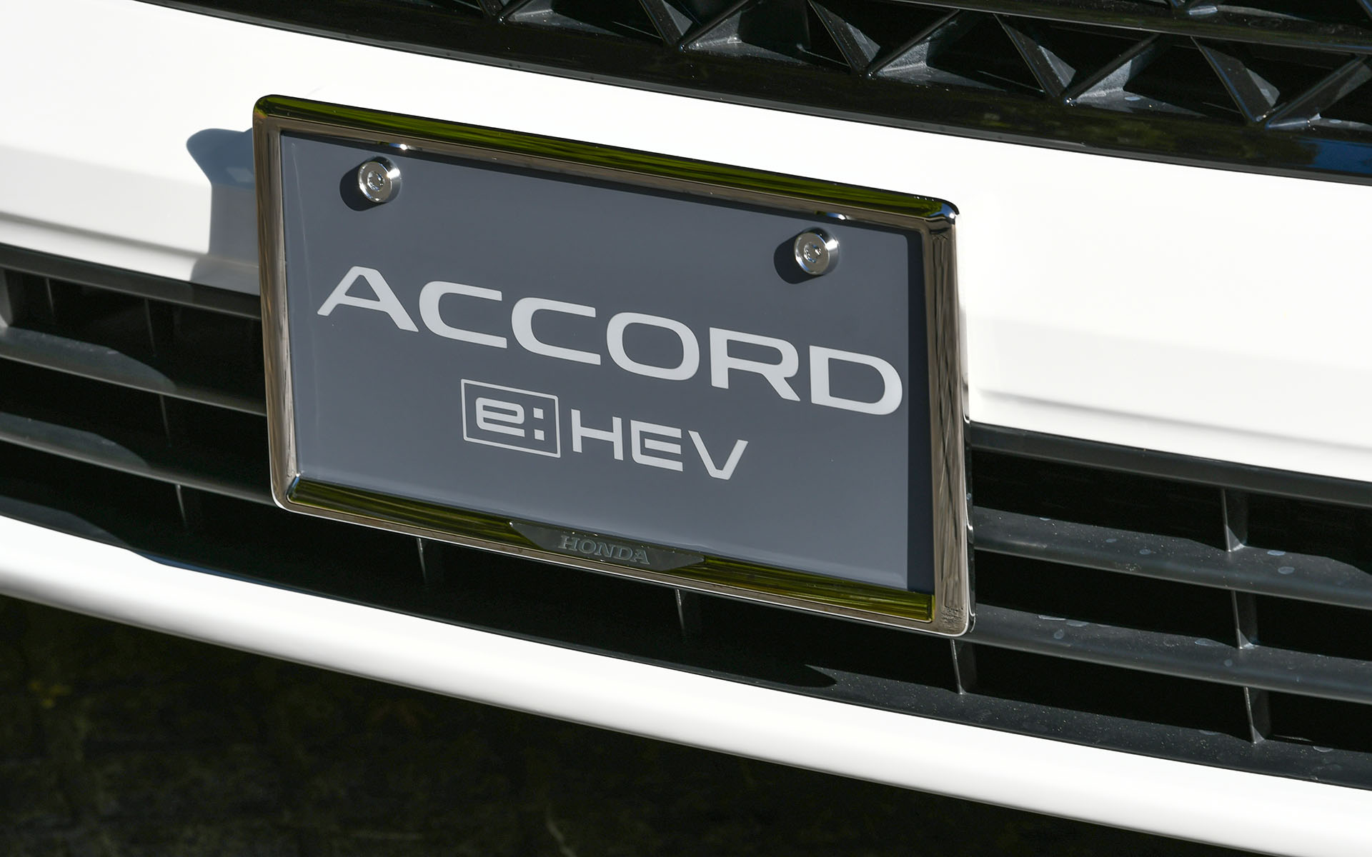 ライセンスフレーム（ダーククロームメッキ）