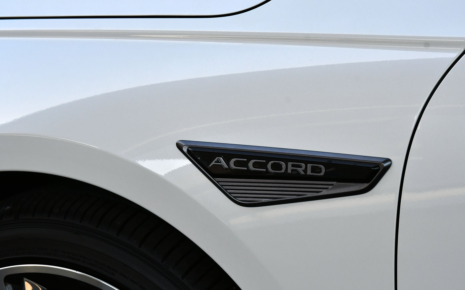 フェンダーガーニッシュ