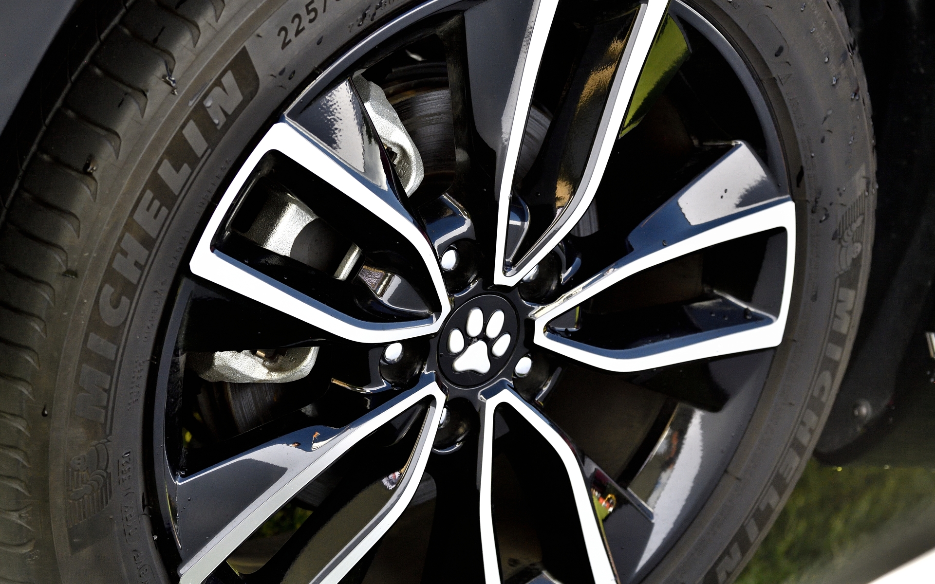 来場者に人気だったのがペットセンターキャップ（肉球）。アルミホイールのセンターに着ける肉球デザイン入りのキャップで直径が54mmと62mmの2種類ある。価格は54mmが7700円、62mmが8800円でともに4個セット