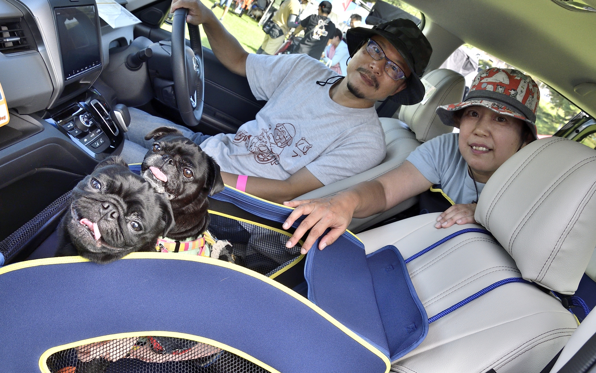 実際にペットシートプラスわん2を使って、便利さと安心感を確認