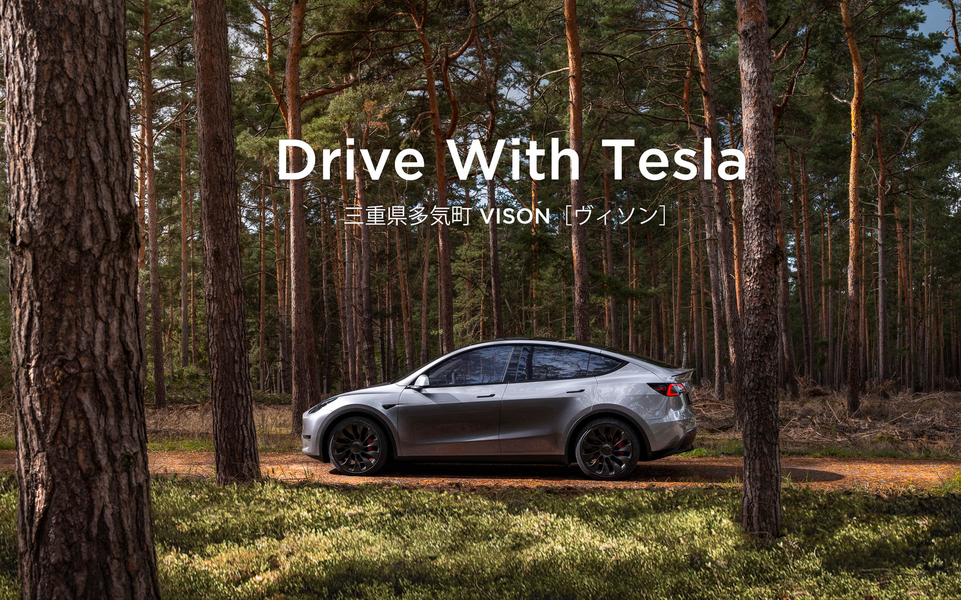 特別キャンペーン「Drive With Tesla」開催