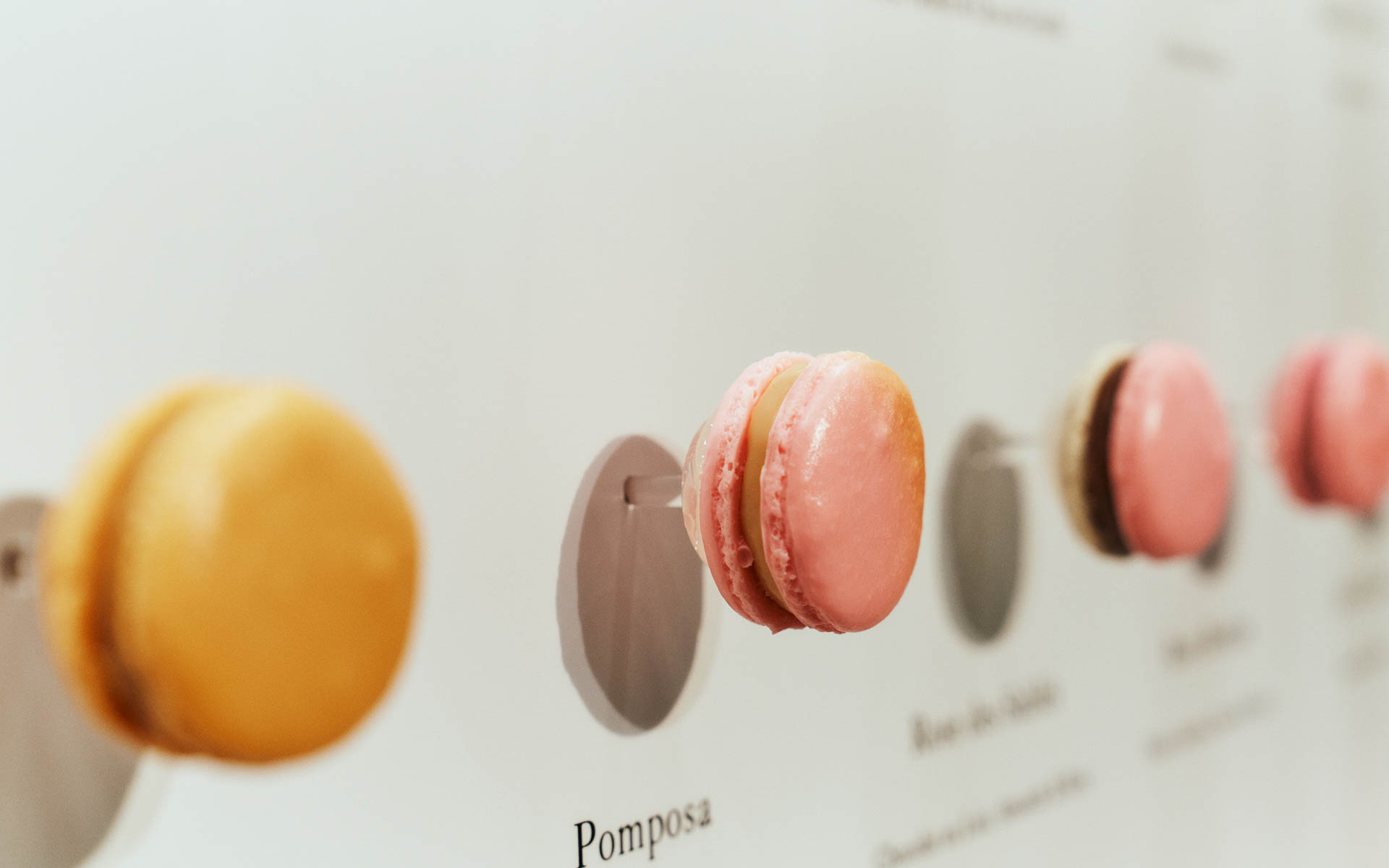 ピエール・エルメ・パリがこれまで作り出した多彩なフレーバーのマカロン