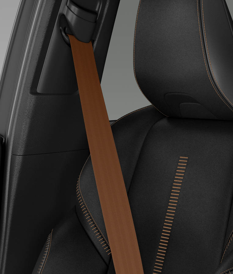 シートベルト：サドルタン